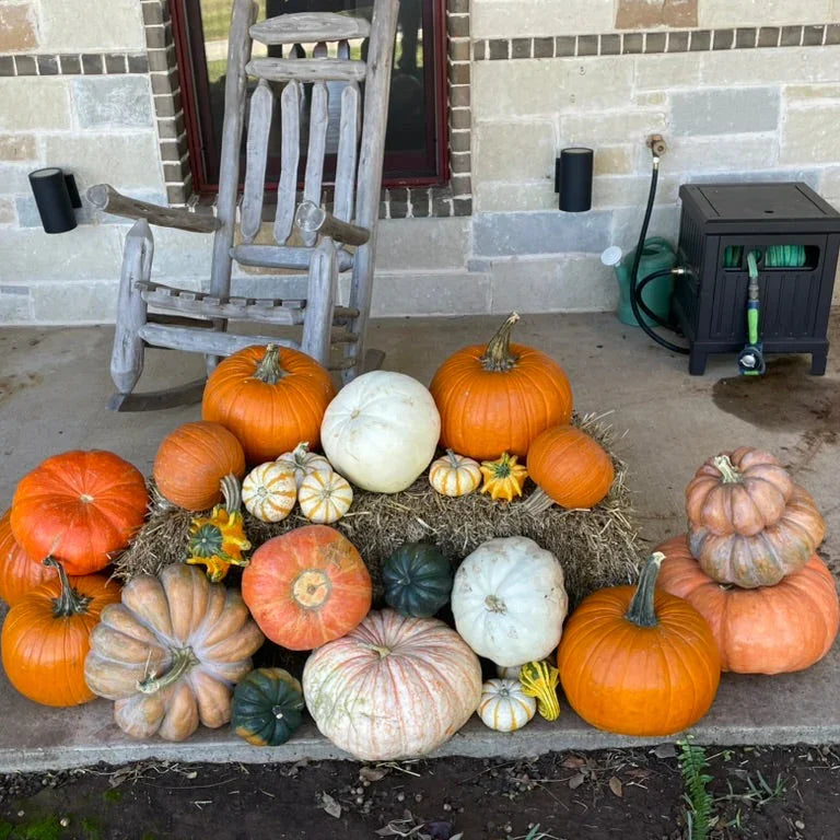 Front Porch Delivery