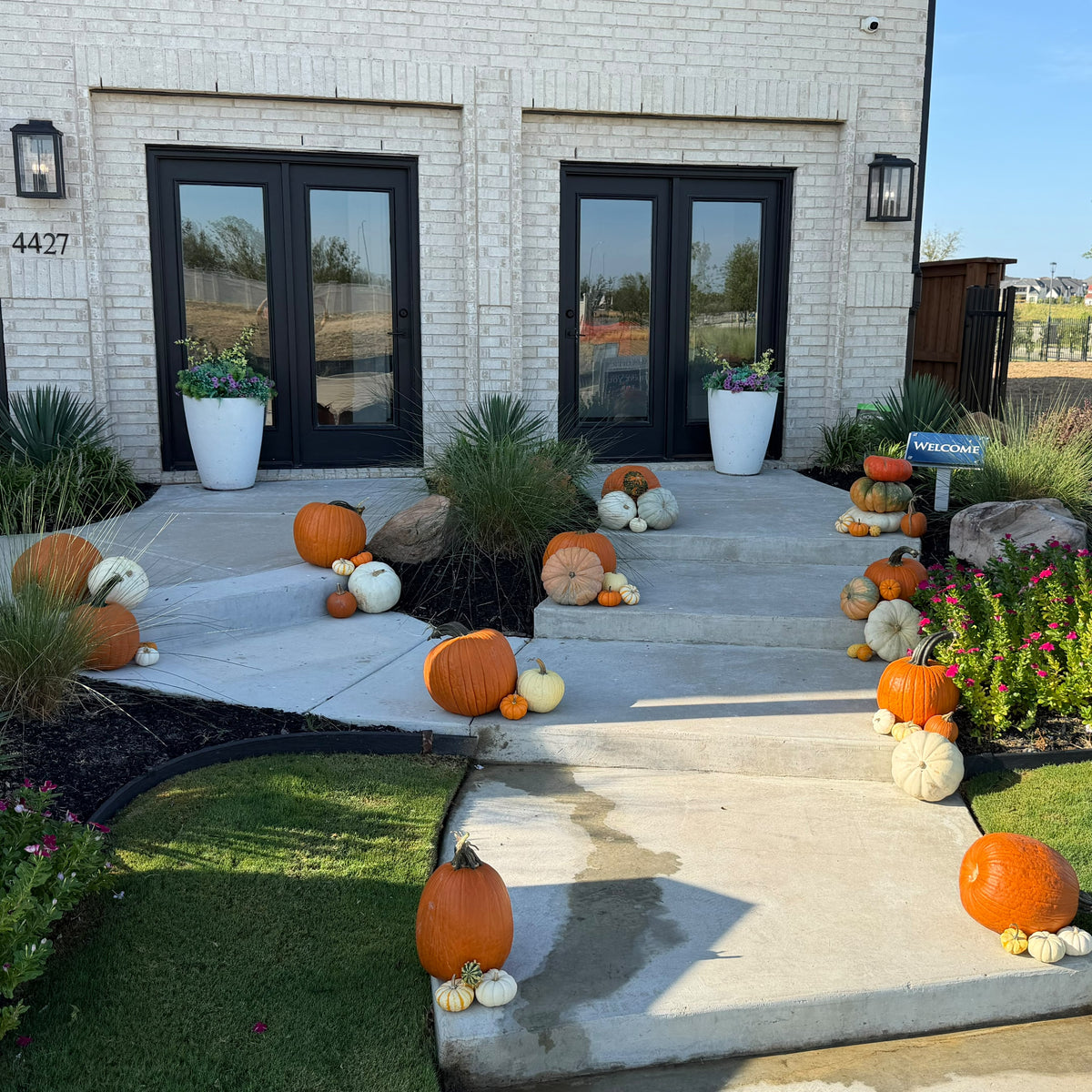 Pumpkin Spice Porch Pumpkin Set