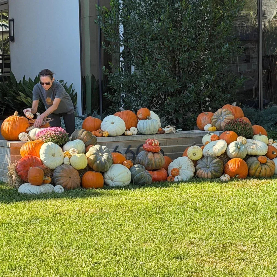 Pumpkins Near Me in DFW: A Guide to Porch Pumpkin Decor - Pumpkin Stack