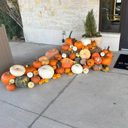 Great patch of pumpkins