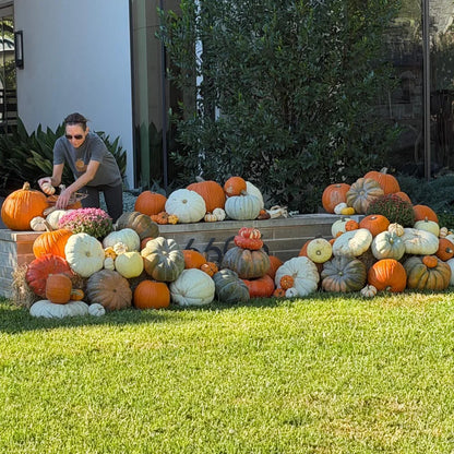 Porch Pumpkin Pumpkin Bliss Westlake, TX