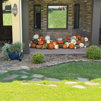Porch Pumpkins Amber Harvest Dallas, TX 