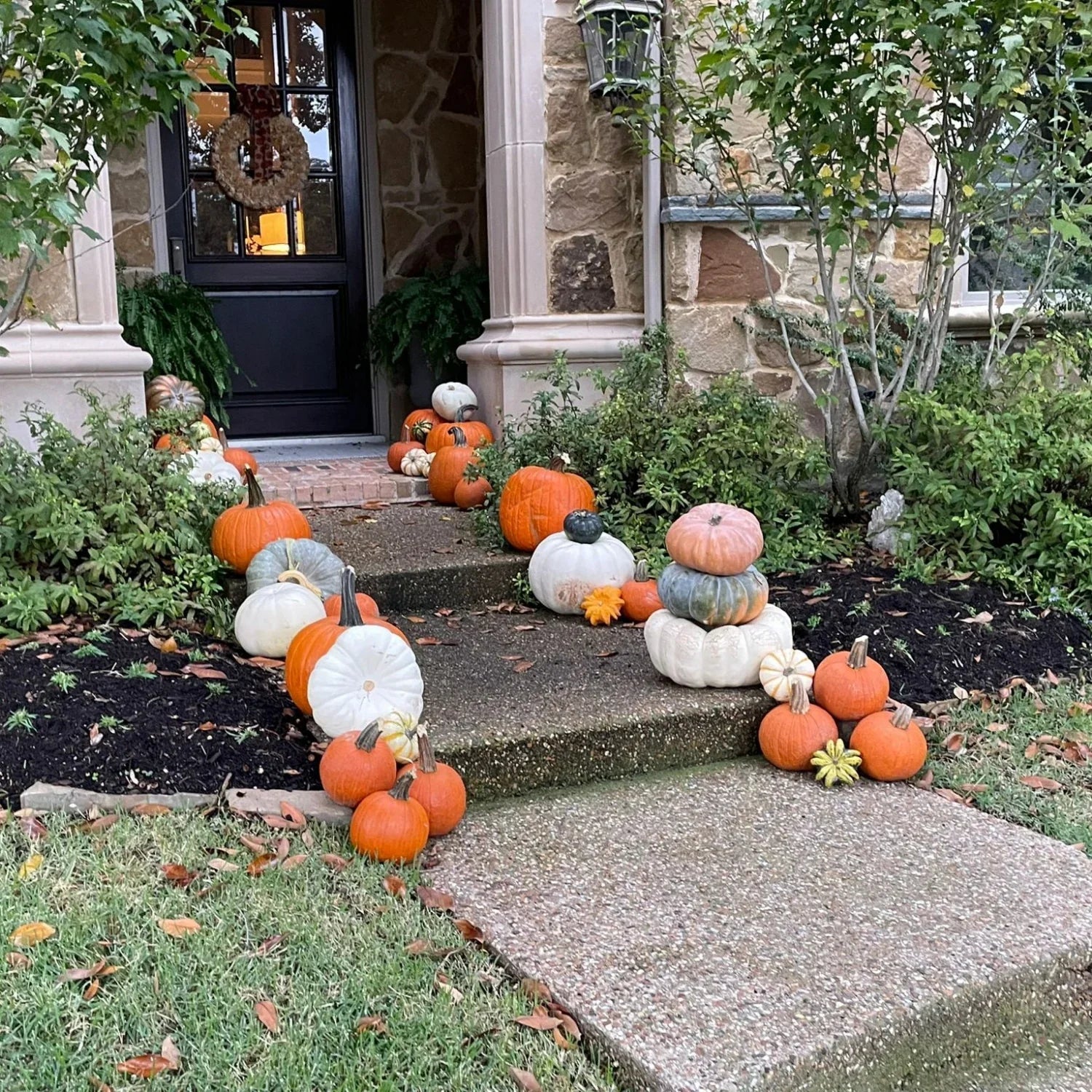 Porch Pumpkins Amber Harvest Richardson