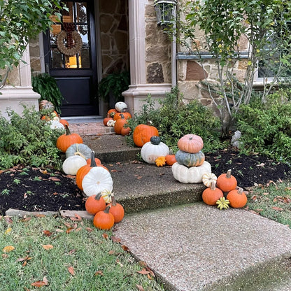 Porch Pumpkins Amber Harvest Richardson