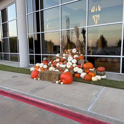 Porch Pumpkins Harvest Glow Package Arlington