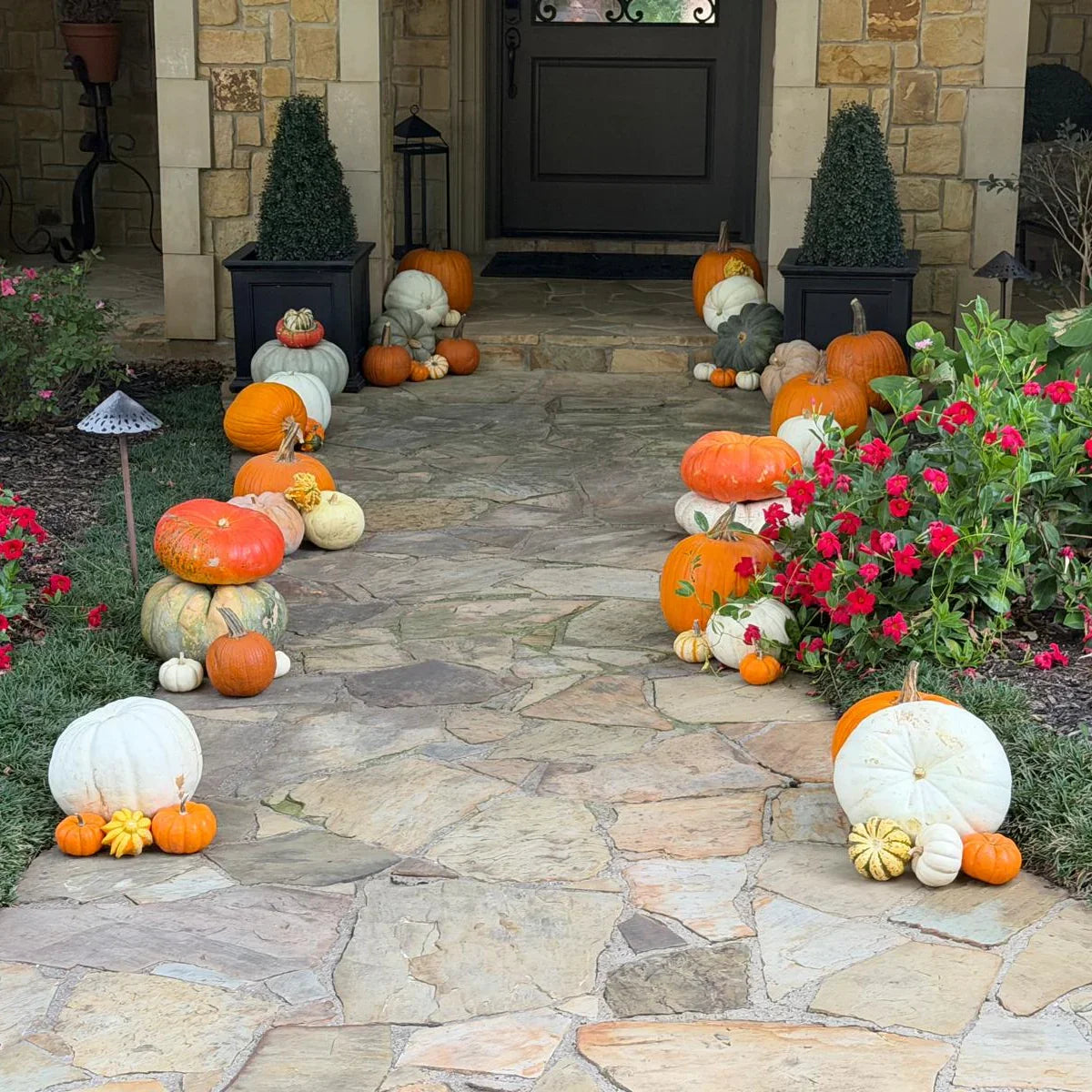 files/Porch_Pumpkins_Mini_Patch_Southlake.jpg