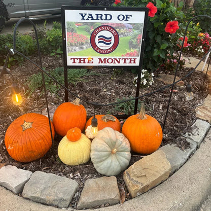 Porch Pumpkins Mini Patch Yard of the Month