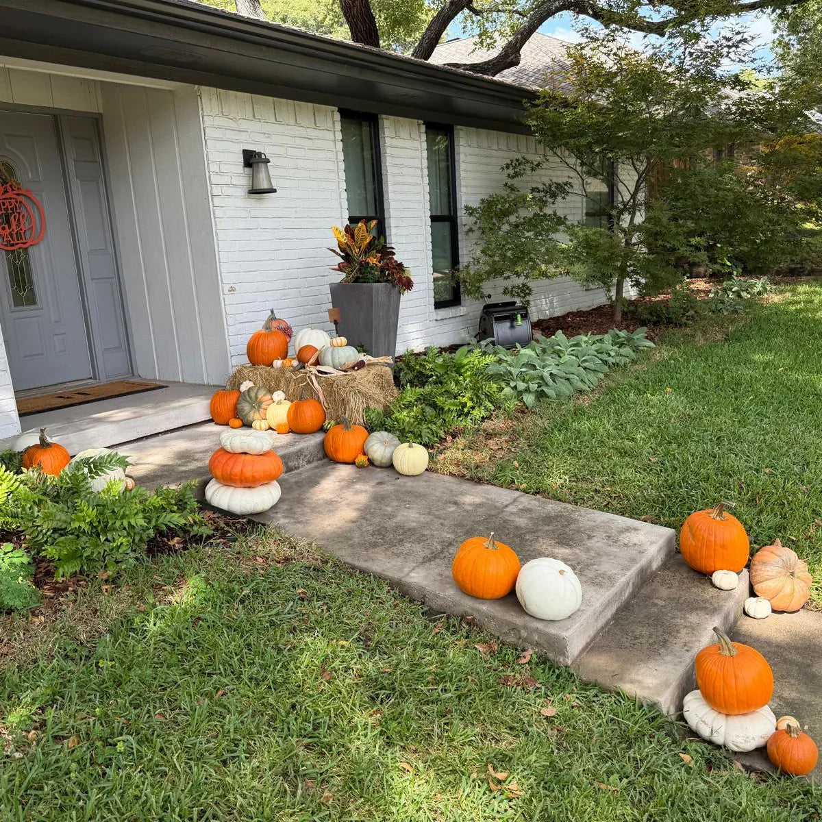 Porch Pumpkins Mni Patch Coppell