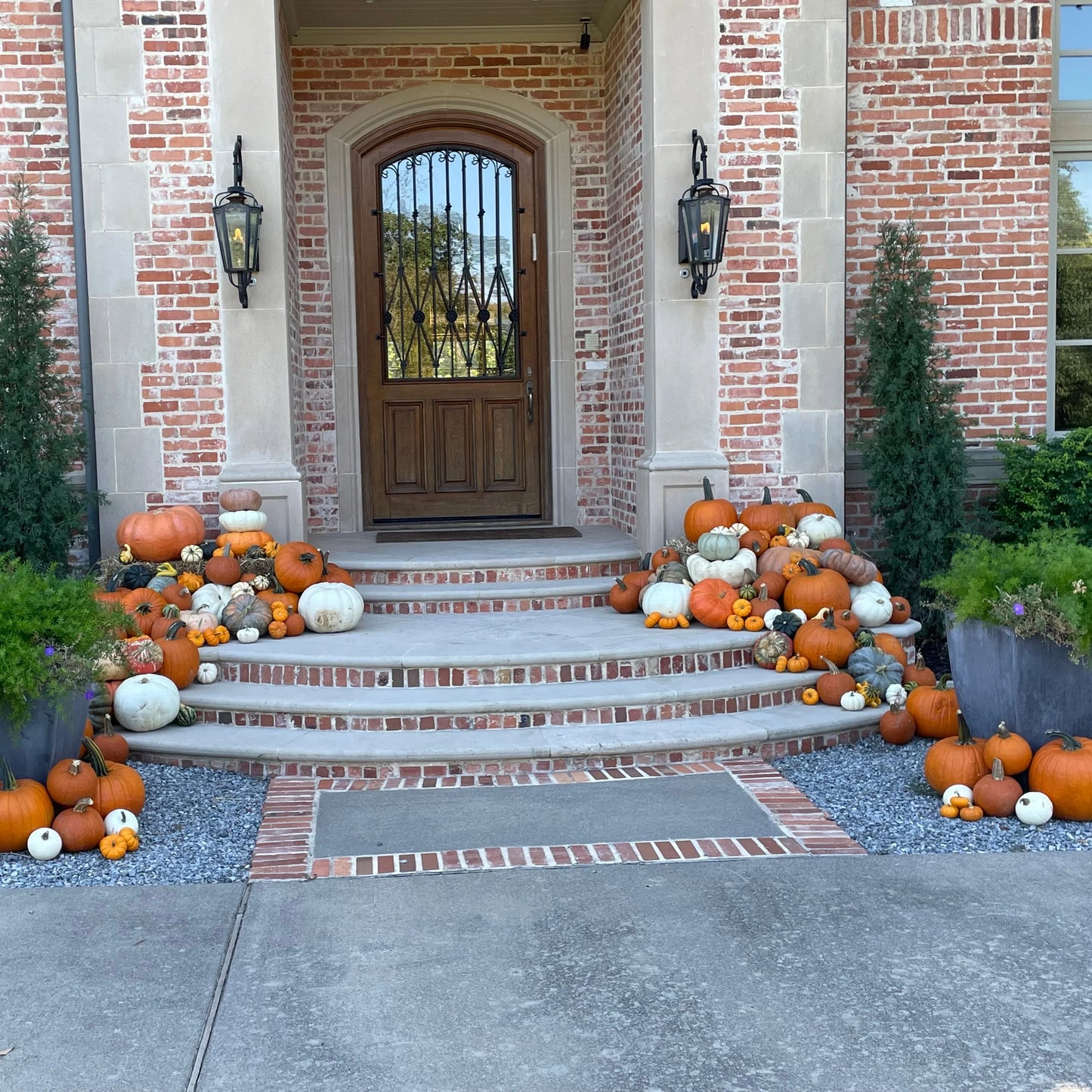 Porch Pumpkins Pumpkin Bliss Dallas, TX