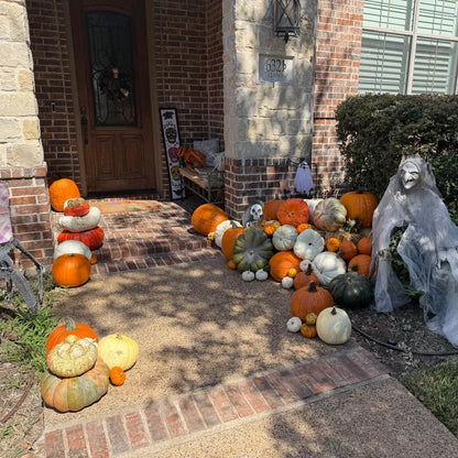 Porch Pumpkins Mini Package SMU Area