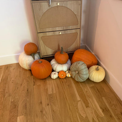 Custom Porch Pumpkin Patch (DFW & Tulsa Delivery)