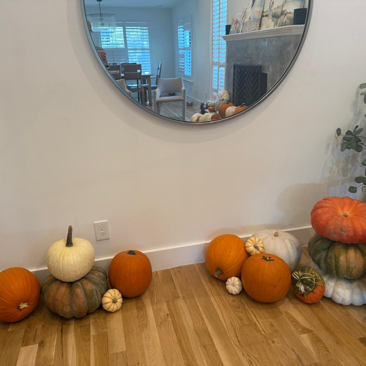 Custom Porch Pumpkin Patch (DFW & Tulsa Delivery)