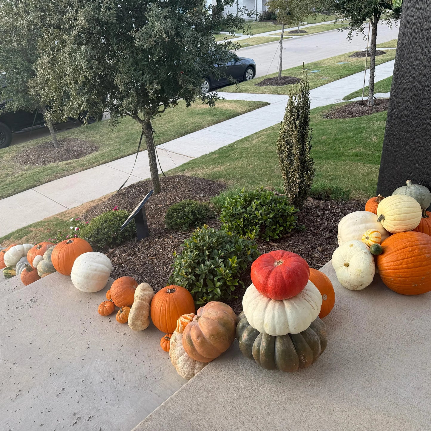 Custom Porch Pumpkin Patch (DFW & Tulsa Delivery)